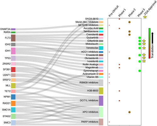 Figure 2. Summary of mutation-specific vulnerabilities and molecular dependencies in the experimental or pharmacologic pipeline for AML. Phase of experimentation for each therapeutic is included, ranging from pre-clinical through FDA approval.