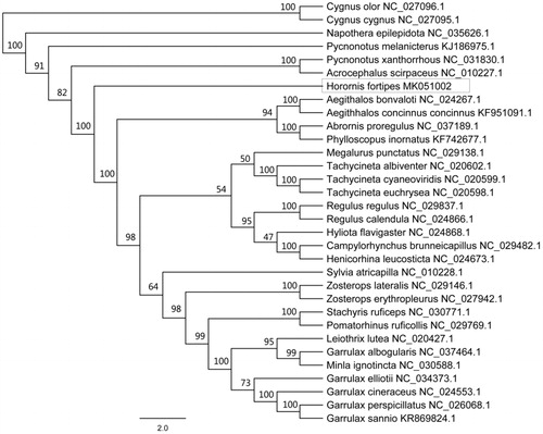 Figure 1. Phylogenetic tree of maximum likelihood (ML) method based on the nucleotide sequences of 13 mitochondrial PCGs of H. fortipes and 31 other species. Numbers represent node supports inferred from bootstrap support values.
