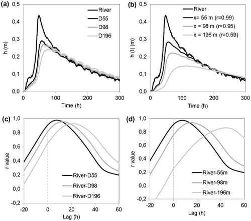 Figure 10. Water table responses to a flood event at different distances from the river: (a) measured in this study and (b) simulated using Dong et al. (Citation2013). Cross-correlation functions between the river stage and (c) measured water table levels and (d) simulated water table levels.