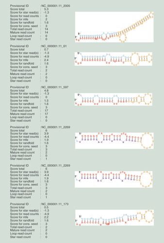 Figure 3.  Six novel miRNAs in pulmonary tuberculosis.