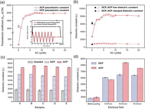 Figure 1. The piezoelectric and dielectric properties of ACP and DCP samples: (a) the piezoelectric coefficient of DCP and ACP with different number of cycles; the inset shows the poling electric field and duration time; (b) the free and clamped dielectric constant of DCP and ACP with different number of cycles; (c) the dielectric constant of five samples under unpoled, DCP and ACP conditions, where the error bar shows the deviation of three tests from each sample; (d) the dielectric constant of DCP and ACP samples at different poling electric fields.