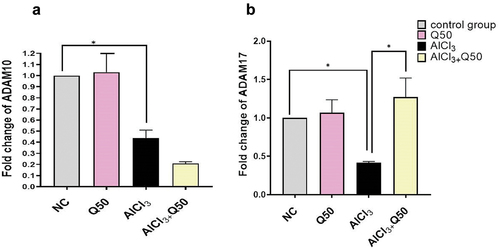 Figure 5. The effect of co-administration of Q on alpha secretase gene expression in AD rat hippocampus tissue. A: Fold change of Adam 10, B: fold change of Adam 17. Data are displayed as mean± SEM (n = 8). * P < 0.05.