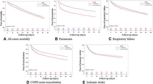 Figure 2 Kaplan–Meier curves demonstrate the outcomes of the influenza and non-influenza groups in the COPD population. Outcome measurement: (A) All-cause mortality, (B) Pneumonia, (C) Respiratory failure, (D) COPD acute exacerbation, (E) Ischemic stroke.