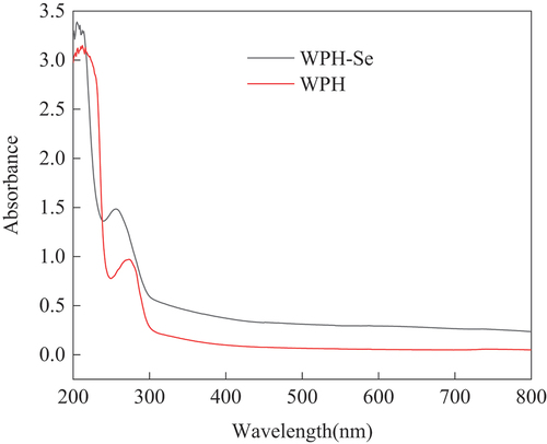 Figure 2. Ultraviolet spectra of WPH and WPH-Se chelate.
