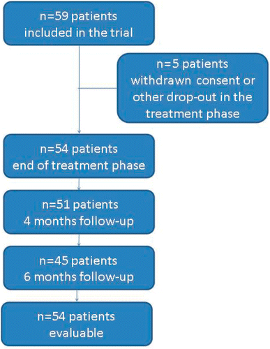 Figure 2 Study patients from screening to analysis.