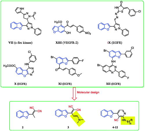 Figure 2. Previously reported benzofuran derivatives VII–XII with anti-tumour and kinase inhibition activities as well as compounds 2–12 designed herein.