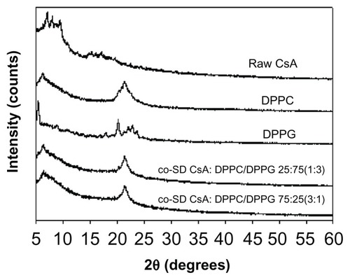 Figure 6 Representative X-ray powder diffractograms of raw CsA, pure DPPC, pure DPPG, and organic solution advanced co-SD CsA lung surfactant-mimic powders of co-SD CsA:DPPC/DPPG 25:75 (1:3) and co-SD CsA:DPPC/DPPG 75:25 (3:1).Abbreviations: CsA, cyclosporine A; DPPC, dipalmitoylphosphatidylcholine; DPPG, dipalmitoylphosphatidylglycerol; SD, spray dried.