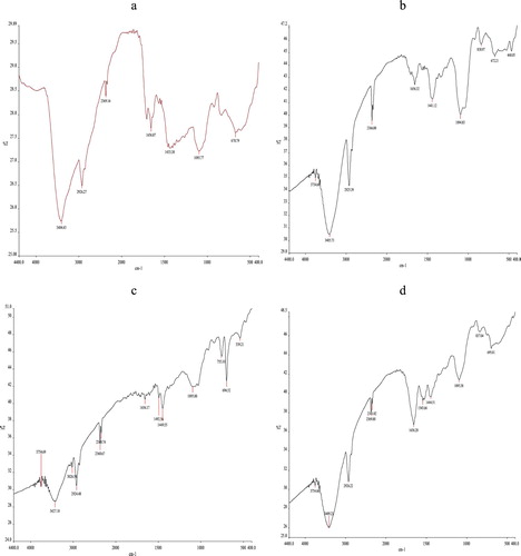 Figure 1. FTIR spectra of (a) PVA and its nanocomposite; (b) PVA/NaB, (c) PVA/SB1, and (d) PVA/SB2.