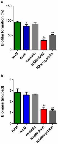 Figure 2. Inhibition of biofilm formation. (a) Effects of 10 mM NAM, 0.5 μg/ml AmB and 0.5 μg/ml nystatin alone or in combination against biofilm. The growth of the biofilm cells were determined by XTT reduction assay. The results are presented as the percent of drug-treated biofilms relative to the control (drug-free) biofilm. (b) Effects of 10 mM NAM, 0.5 μg/ml AmB and 0.5 μg/ml nystatin alone or in combination on biofilms biomass production. *P < 0.05; **P < 0.01 as compared to the control (drug-free) biofilm.