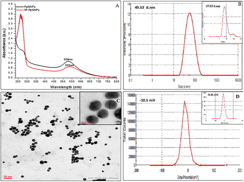 Figure 2. Characterisation of PpGNPs and 5F-PpGNPs under (A) UV–vis spectra, (B) dynamic light scattering (inset: 5F-PpGNPs), (C) transmission electron microscopy (inset: 5F-PpGNPs), (D) zeta potential (inset: 5F-PpGNPs).