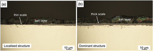 Figure 4. Cross-sectional optical micrographs of 100 wt.% sulphate salt covered Ni-25Cr after 300 h reaction in Ar-60CO2-20 H2O at 650°C.