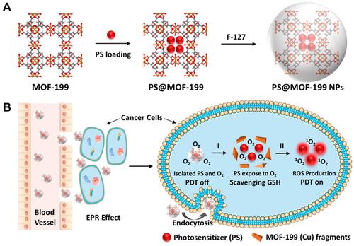 Figure 9 (A) Synthetic scheme to PS@MOF-199 and F127-coated PS@MOF-199 (PS@MOF-199 NPs); (B) quench and trigger of photosensitization originated from PS@MOF-199 NPs in the tumor microenvironment. Reprinted with permission from Wang Y, Wu W, Liu J et al. Cancer-Cell-Activated Photodynamic Therapy Assisted by Cu(II)-Based Metal-Organic Framework. ACS Nano. 2019;13(6):6879–6890. Copyright (2019) American Chemical Society.Citation106