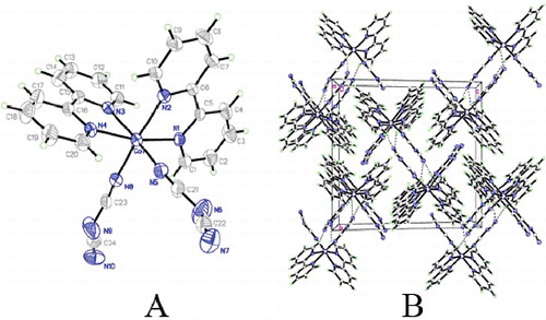 Figure 1. Molecular structure (A) and 3D supra-molecular network (B) of Co(bpy)2(N(CN)2)2.