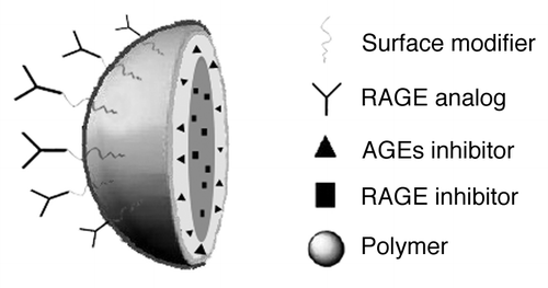 Figure 1. Schematic diagram of multi-functional core-shell nanoparticle. RAGE analog has the properties of targeting, recognizing and conjugating AGEs like RAGE, but without the ability of causing the signaling cascades.