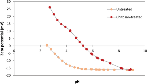 Figure 1. Zeta potential (mV) of untreated (UN) and chitosan-treated (CH) undyed cotton (CO).