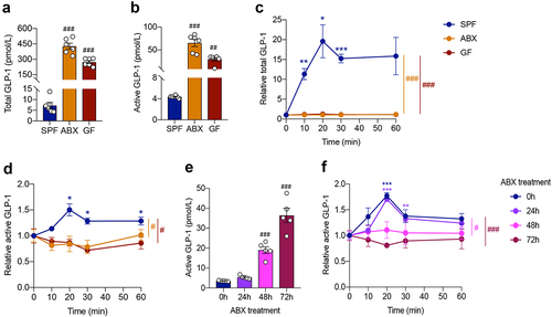 Figure 1. Gut microbiome depletion increases fasting plasma GLP-1 level and completely abolishes postprandial GLP-1 response. (a, b) Comparison of fasting levels of total GLP-1 (a) and active GLP-1 (b) in the plasma of control SPF mice and gut microbiome-depleted (ABX and GF) mice (n = 6 per group). (c, d) Total GLP-1 response (c) and active GLP-1 response (d) after olive oil gavage in the plasma of SPF, ABX and GF mice (n = 6/time point/group). (e, f) Fasting active GLP-1 levels (e) and active GLP-1 response after olive oil gavage (f) in the plasma from mice treated with antibiotics for 0 h, 24 h, 48 h, 72 h, respectively (n = 5 per group). Data are shown as mean ± SEM. *P < .05, **P < .01, ***P < .001, vs. 0 min; #P < .05, ##P < .01, ###P < .001, vs. SPF mice or 0 h. Statistical significance was determined by (a, b, e) one-way ANOVA with the Dunnett’s posttest or (c, d, f) two-way ANOVA with the Dunnett’s posttest.