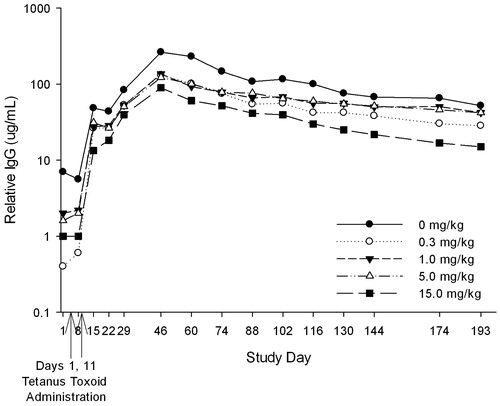 Figure 2. Study 1 (4-week): Kinetics of human immune response to tetanus toxoid in cynomolgus monkeys treated with tabalumab. Animals were given weekly doses of 0, 0.3, 1.0, 5.0, or 15.0 mg/kg tabalumab for 2 weeks. Monkeys were immunized with tetanus toxoid on Day 1 of tabalumab dosing, and a secondary challenge of tetanus toxoid was administered on Day 11. Serum was collected over a 193-day period to assess primary and secondary IgG response to tetanus toxoid.