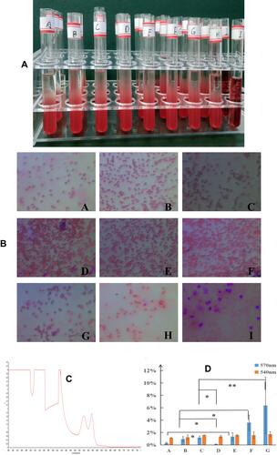 Figure 2 Hemolysis testing: (A) appearance of each group of samples in RCBs solution; (B) RCBs morphology in each group; (C) determination of the λmax; (D) hemolysis rate (means ± SD, n = 3; *p<0.05, **p<0.01).
