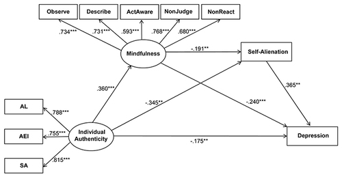 Figure 2 Structural equation model.