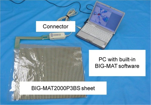 Figure 1 BIG-MAT® pressure distribution measurement system.