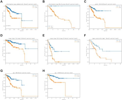 Figure 6 Survival time of patients in high-risk and low-risk group of different subgroups. (A) Endometrioid subgroup, (B) mix and serous subgroup, (C) grade G3&G4 subgroup, (D) stage I & stage II subgroup stage, (E) stage III & stage IV subgroup, (F) with tumor subgroup, (G) age >60 subgroup, (H) age ≤60 subgroup.
