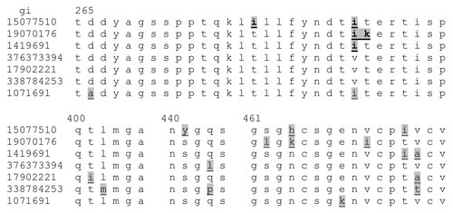 Figure 7. Epitope region sequences of seven viruses selected as representatives of the different clusters. Mumps virus strains are listed by GenBank accession number (gi), top to bottom JL5, JL2, Lo1/UK/88,. Calgary.CAN/30.07, 4991/Singapore/99–00, Iowa-06, and Rubini. The sequences are shown only for the epitope dense region from 265–294 and from 400–475. Conserved regions between 400 and 475 are omitted. Differences in the amino acid sequence are shaded and underlined.