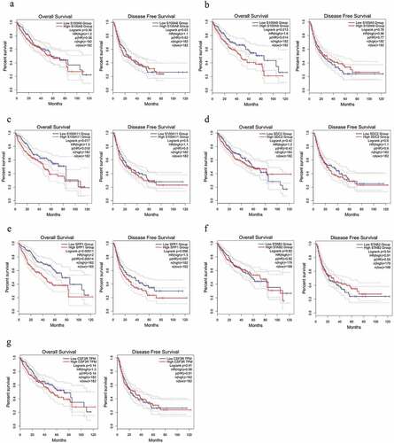Figure 3. The survival analysis of the 7 hub genes performed using the Kaplan‐Meier curve. The expression of each gene showed its DFS and OS in HCC samples. Abbreviation: DFS, disease‐free survival; OS, overall survival; HCC, hepatocellular carcinoma
