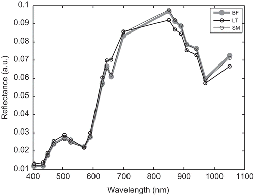 Figure 5. Example of mean spectral data of the three muscles based on limousine breed (BF: biceps femoris; LT: longissimus thoracis; SM: semimembranosus).