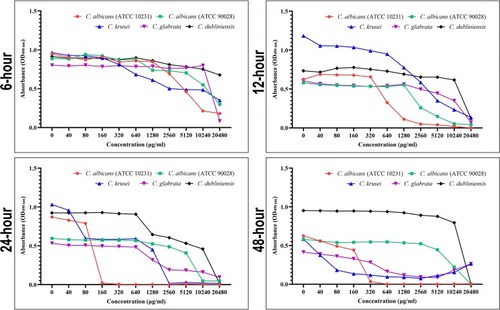 Figure 3 Evaluation of biofilm metabolic activity by XTT reduction assay. The concentration-absorbance curves for Candida biofilms at four time-points (6, 12, 24, and 48 h). The trend of the concentration–absorbance curve at the four time points decreased with the increase in berberine concentrations.