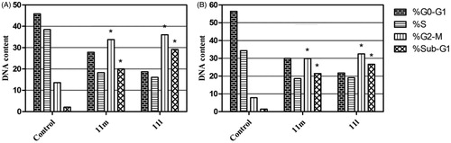 Figure 3. Influence of pyridazines 11l and 11 m on the distribution of cell cycle phases in breast cancer T-47D (A) and MDA-MB-231 (B) cells. Asterisk indicates a significant difference from control at p < 0.05.