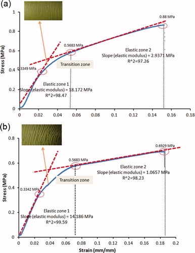 Figure 6. Two elastic zones observed for the oligomeric TEOS cured samples, (a) 40-1-49 and (b) 40-1-79. The inset images show the samples after tension at the first elastic zone.