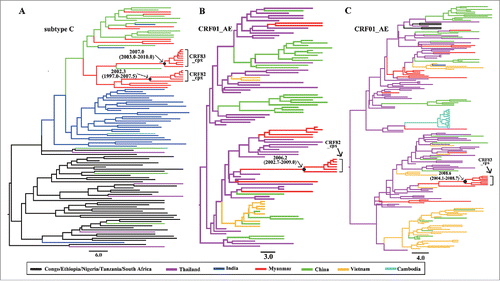 Figure 4. MCC trees of CRF82_cpx and CRF83_cpx. (A) The MCC tree based on the longest mutual region of subtype C origin of both CRF82_cpx and CRF83_cpx (2695–3290 nt in HXB2). (B) MCC tree based on the unique CRF01_AE region of CRF82_cpx (5758–6359 nt in HXB2). (C) MCC tree based on the unique CRF01_AE region of CRF83_cpx (7006–7277 nt in HXB2). Black dots indicate tMRCA of CRF82_cpx and CRF83_cpx. The time of tMRCA are shown with 95% confidence interval.