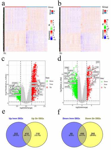 Figure 2. Gene levels in sarcoma and related scores. Heatmaps (a and b), volcanos (c and d), and Venn diagrams (e and f) regarding DEGs of high – versus low-stromal/immune score groups