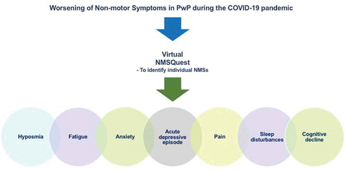 Figure 3. Worsening of particular non-motor symptoms in PwP during the COVID-19 pandemic. PwP – People with Parkisnon’s, NMS - Non-motor symptoms,NMSQuest – Non-motor Symptoms Questionnaire