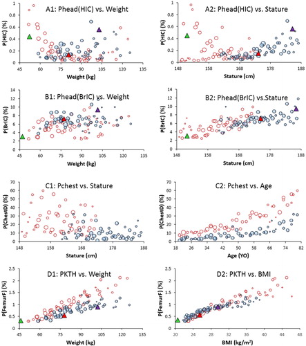 Figure 5. Injury risk distributions with respect to occupant characteristics. Note: The 5th and 50th and 95th are corresponding to the sizes of three adult ATDs, namely small female, midsize male, and large male.