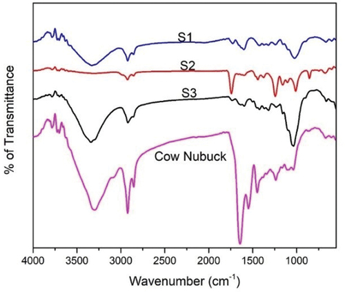 Figure 6. FT-IR spectra of (a) S1; (b) S2; (c) S3; (d) cow nubuck Leather.