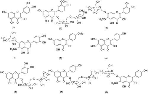 Figure 2. Isolated flavonoids and flavonoid glycosides from Scrophularia genus.