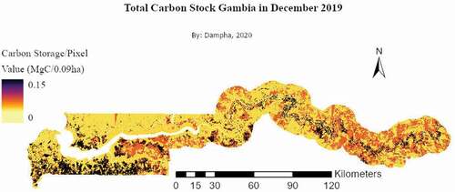 Figure 9. Total carbon stock, The Gambia