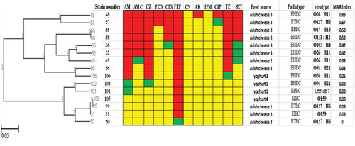 Figure 3. Antibiogram of E. coli isolates is shown by a Heat map. Red color: resistant, green color: intermediate, yellow color: sensitive, AM: Ampicillin, AMC: Amoxicillin-Clavulanic, CZ: Cefazolin, FOX: Cefoxitin, CTX: Cefotaxime, FEP: Cefepime, CN: Gentamicin, AK: Amikacin, IPM: Imipenem, CIP: Ciprofloxacin, TE: Tetracycline, SXT: Sulfamethoxazole-Trimethoprim. EHEC: Enterohemorrhagic E. coli, ETEC: Enterotoxigenic E. coli, EPEC: Enteropathogenic E. coli, EIEC for Enteroinvasive E. coli, MAR: multiple antibiotic resistant.