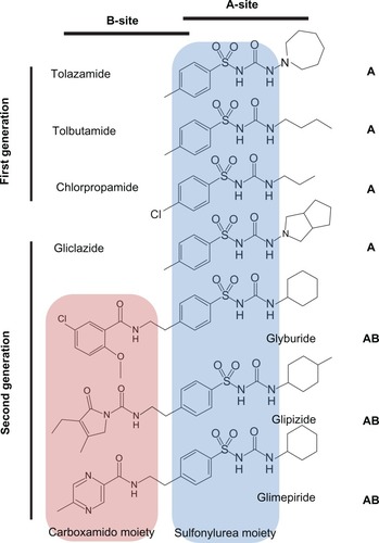 Figure 6 Structures and binding-site classification of clinically used sulfonylurea drugs.