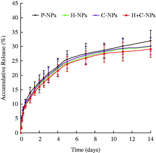 Figure 2. The release profiles of P-NPs, H-NPs, C-NPs and H + C-NPs in vitro.