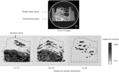 Figure 5. X-ray CT image and gamma-ray intensity distributions.