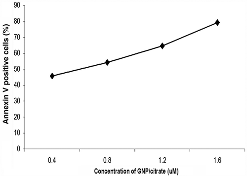 Figure 8. Representative curve of A549 cell death: percent of Annexin V positive cells, which shows a proportional increase with concentration of GNP/citrate.