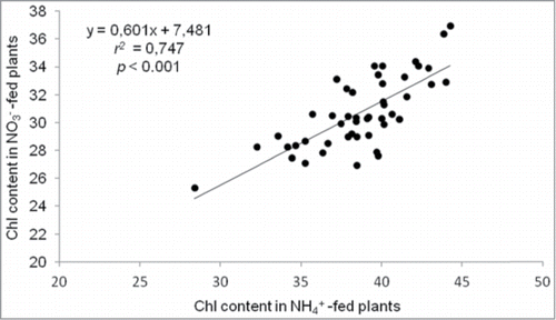 Figure 2. Scatter plot of chlorophyll content (SPAD units) of NO3−-fed plants (vertical axis) versus NH4+-fed plants (horizontal axis). Linear regression and Pearson correlation coefficient (r2) are given.