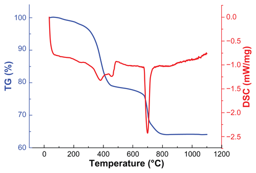 Figure S3 TG and DSC curves of MNPs.Abbreviations: DSC, differential scanning calorimetry; TG, thermo gravimetric; MNPs, magnetic nanoparticles.