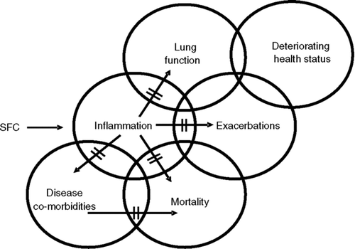 Figure 3 Possible mechanisms for a survival benefit of salmeterol/fluticasone propionate combination in COPD patients.