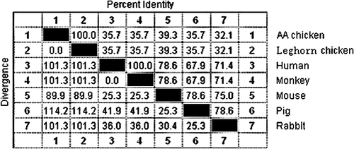 Figure 2.  Comparison of the CR2 biding domain of C3d from different species. Accession numbers of C3d sequences are: Leghorn chicken, DQ291160; human, NM_000064; monkey, AB220550; mouse, BC043338; pig, NM_214009; and rabbit, NM_001082286.