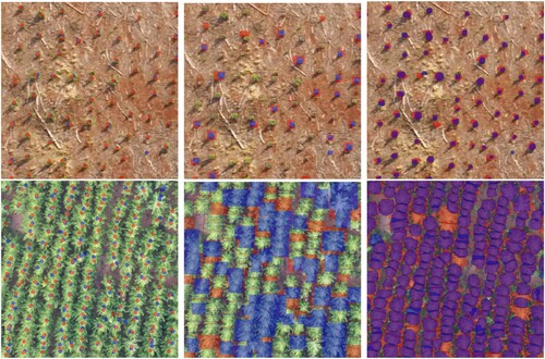 Figure 11. Predictions for the one and ten years old forest stands (in blue), contrasted with the ground truth (in red). The first row shows the results for the one year old forest stand, while the second row for the ten years old forest stand.