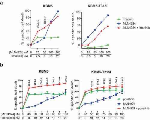 Figure 3. ABL T315I-mutant imatinib resistant Ph+ leukemia cells are sensitive for MLN4924. (a) MLN4924 and imatinib synergize to induce cell death in the Ph+ leukemia cell line KBM5, but not in the imatinib-resistant KBM5 ABL T315I-mutant subline. (b) MLN4924 and ponatinib synergize to induce cell death in both the KBM5 and the KBM5 ABL T315I-mutant subline. Cells were treated for for 3 days with various concentrations of MLN4924 and ponatinib at a fixed ratio of 5:1. Percent specific cell death is shown. Means ± SEM of representative of three independent experiments of triplicate cultures are shown. Combination index (CI) values are given for each relevant data point.