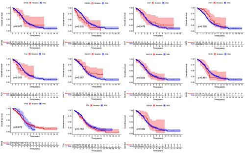 Figure 3 Correlations of gene mutations with OS. Kaplan-Meier survival analysis of OC patients indicated the relationships between specific gene mutations and prognostic outcomes. The p-value is marked in each plot.